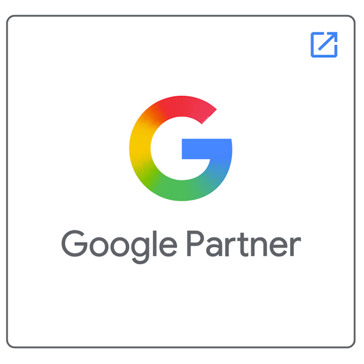 SemantycaWeb Google Partner
